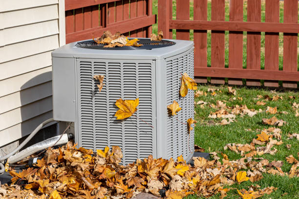 Best HVAC air duct cleaning  in Rosedale, MS